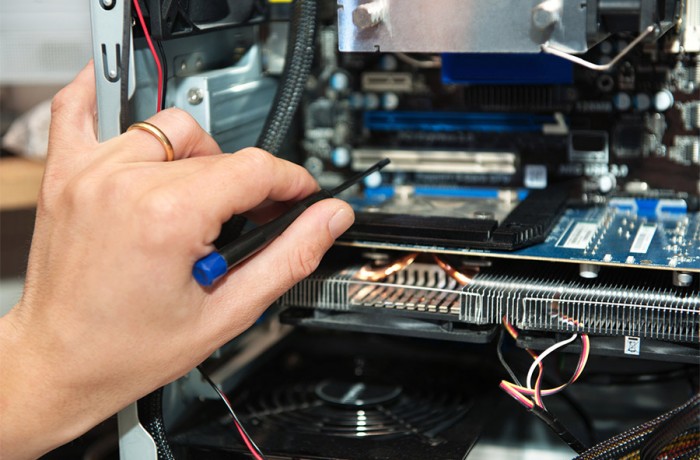 Knowledge begins with learning